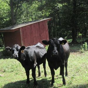 Meet your Posher, Judith